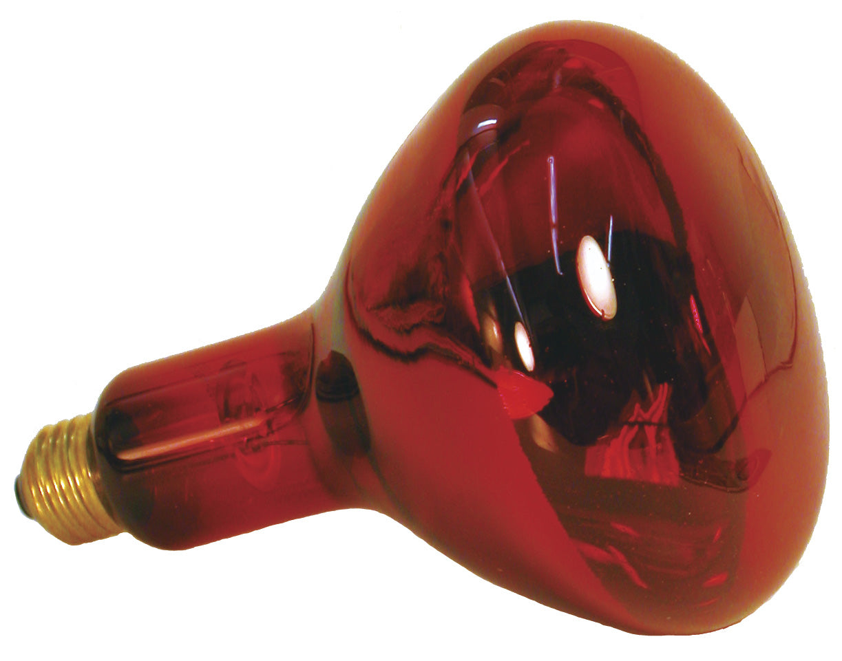 Zoo Med Nocturnal Infrared Heat Lamp