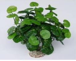 Aquaglobe Silk Malus 14"