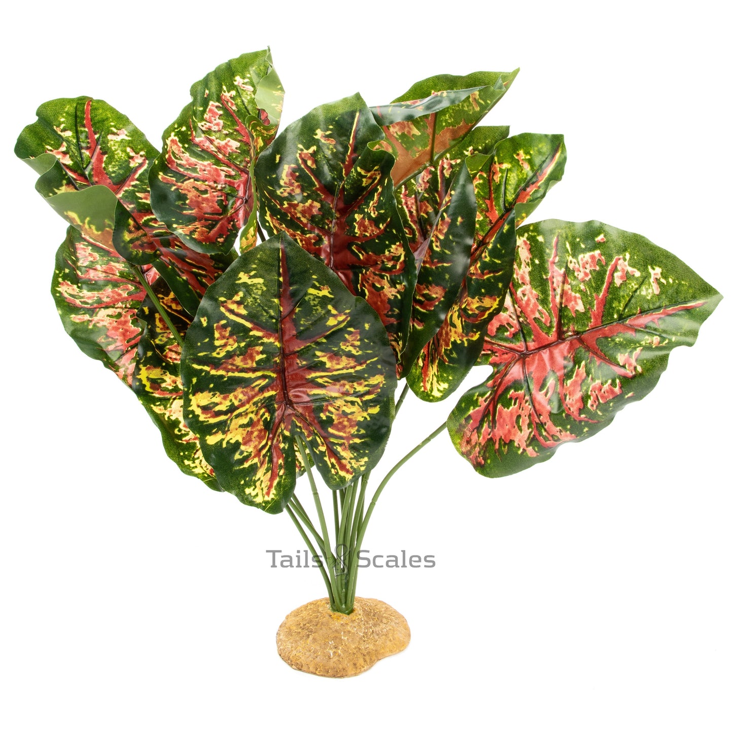 Aquaglobe Silk Red Casia 19"