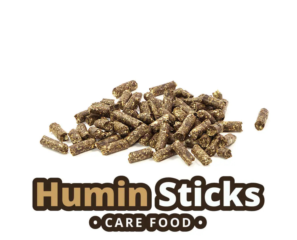GlasGarten Humin Sticks - Care Food 30g
