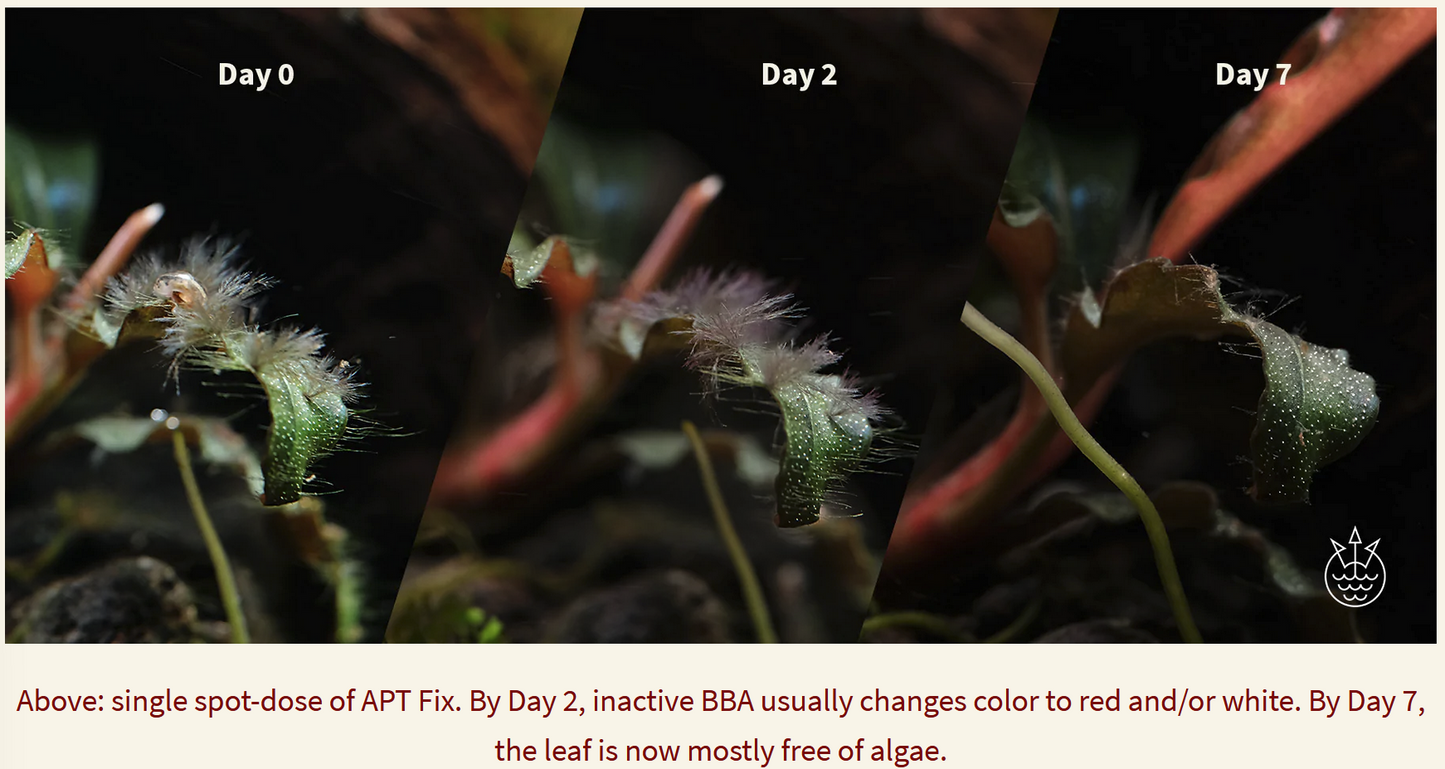 2Hr Aquarist APT F Fix