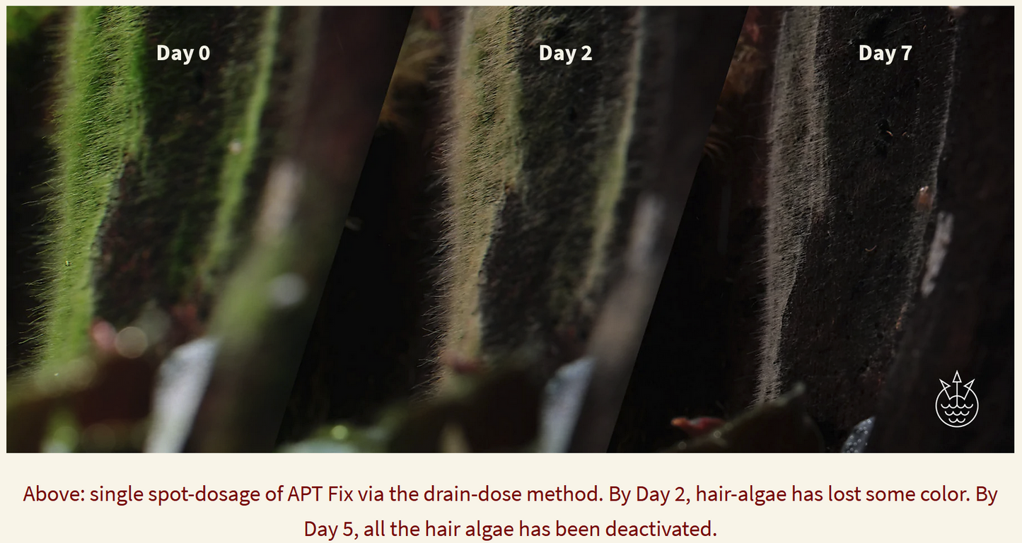 2Hr Aquarist APT F Fix