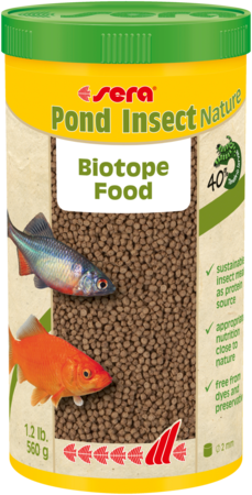 Sera Pond Insect Nature