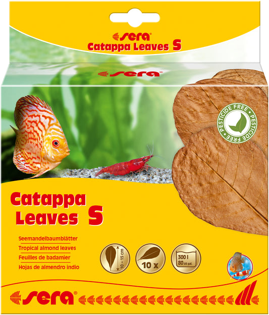 Sera Catappa Leaves (10-Pack)