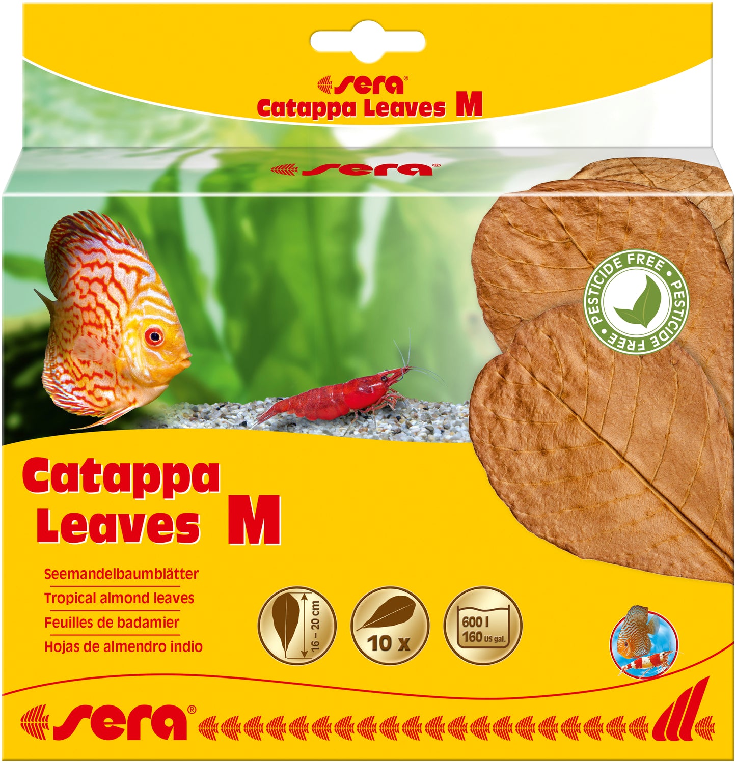 Sera Catappa Leaves (10-Pack)
