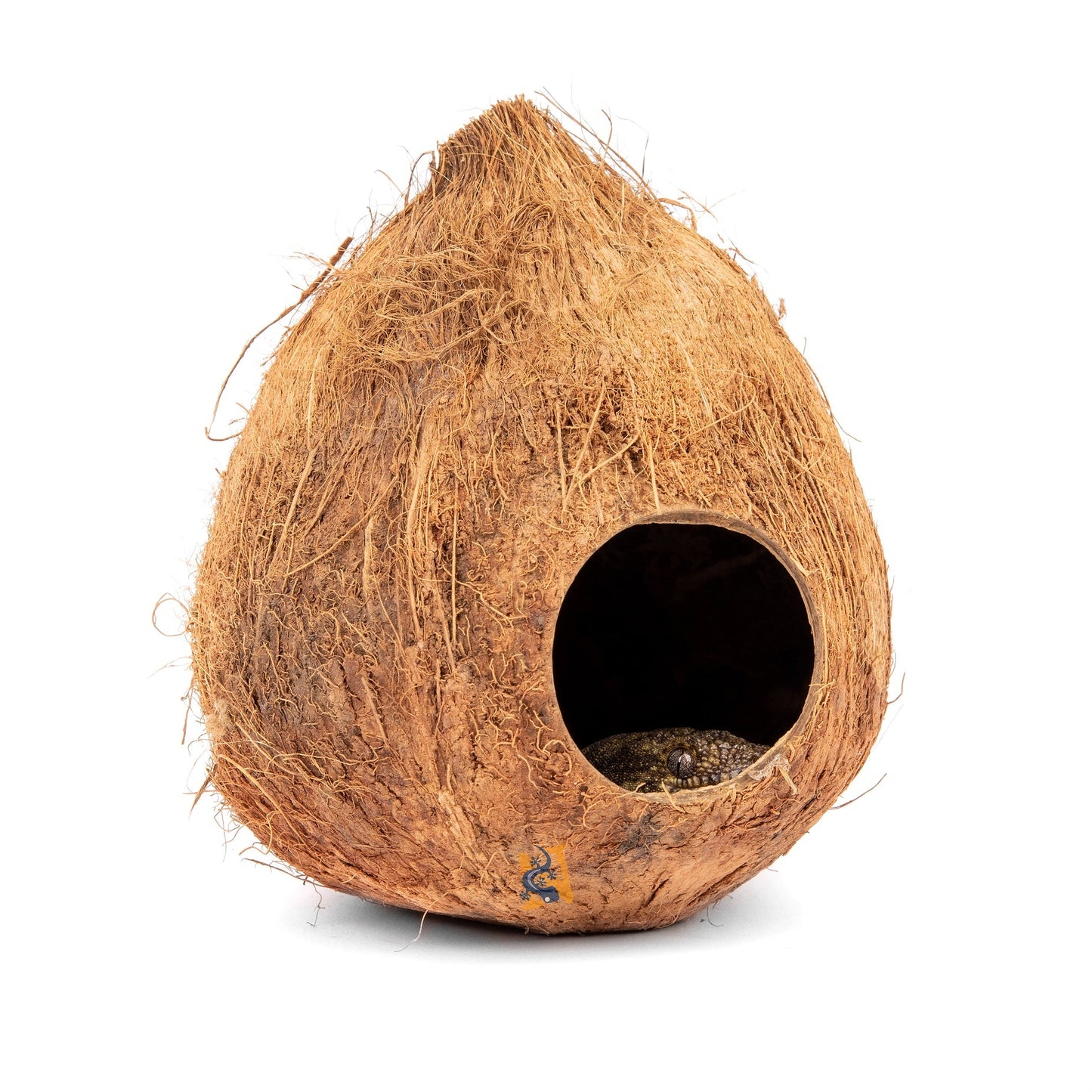 Aquaglobe Coconut Shell