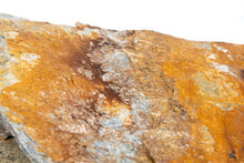 Aquaglobe Gold Slate