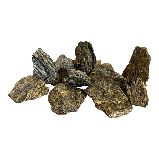 Aquaglobe Blue Petrified Wood