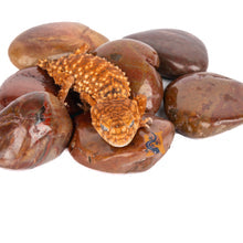 Aquaglobe Polished Pebble (Red) 1.5-2" Dia.