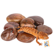 Aquaglobe Polished Pebble (Red) 1.5-2" Dia.