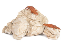 Aquaglobe Elephant Skin Rock