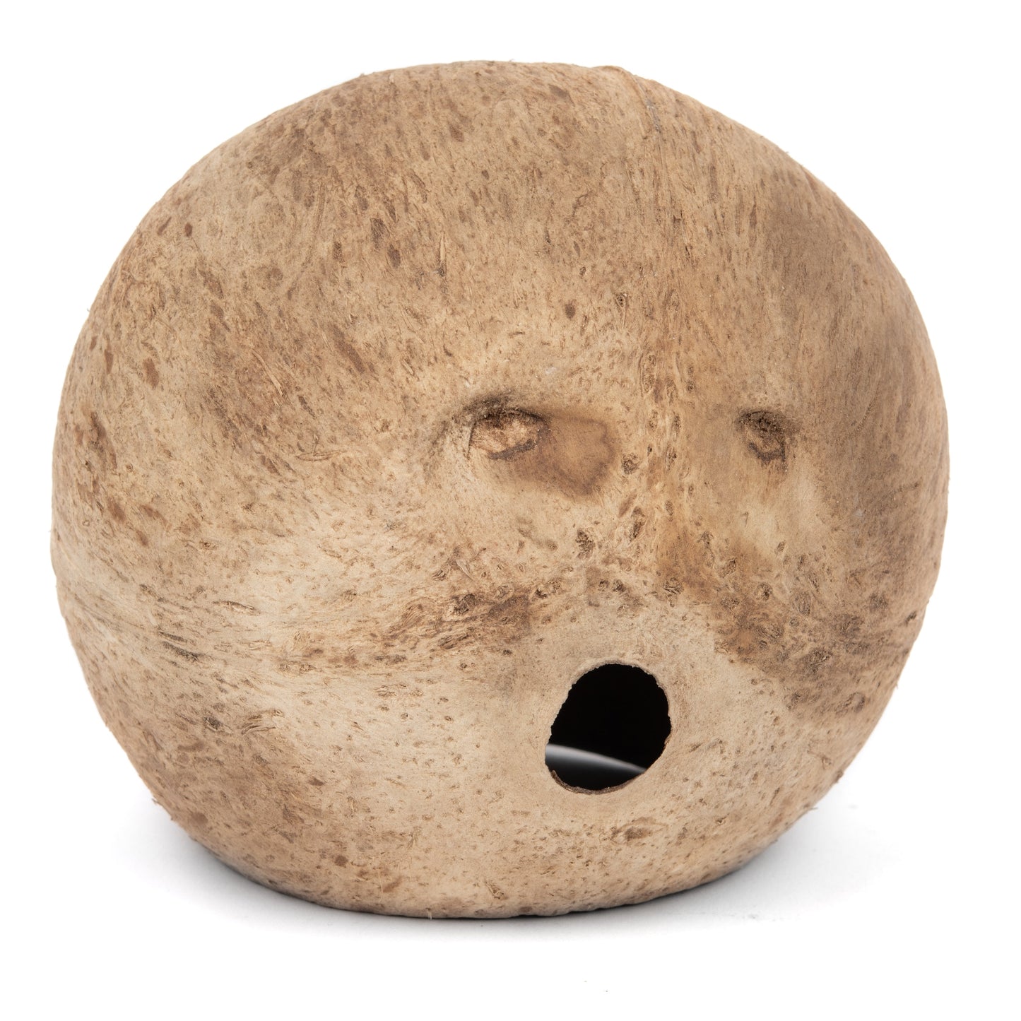 Aquaglobe Coconut Whole