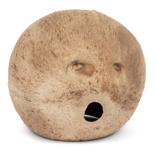 Aquaglobe Coconut Whole