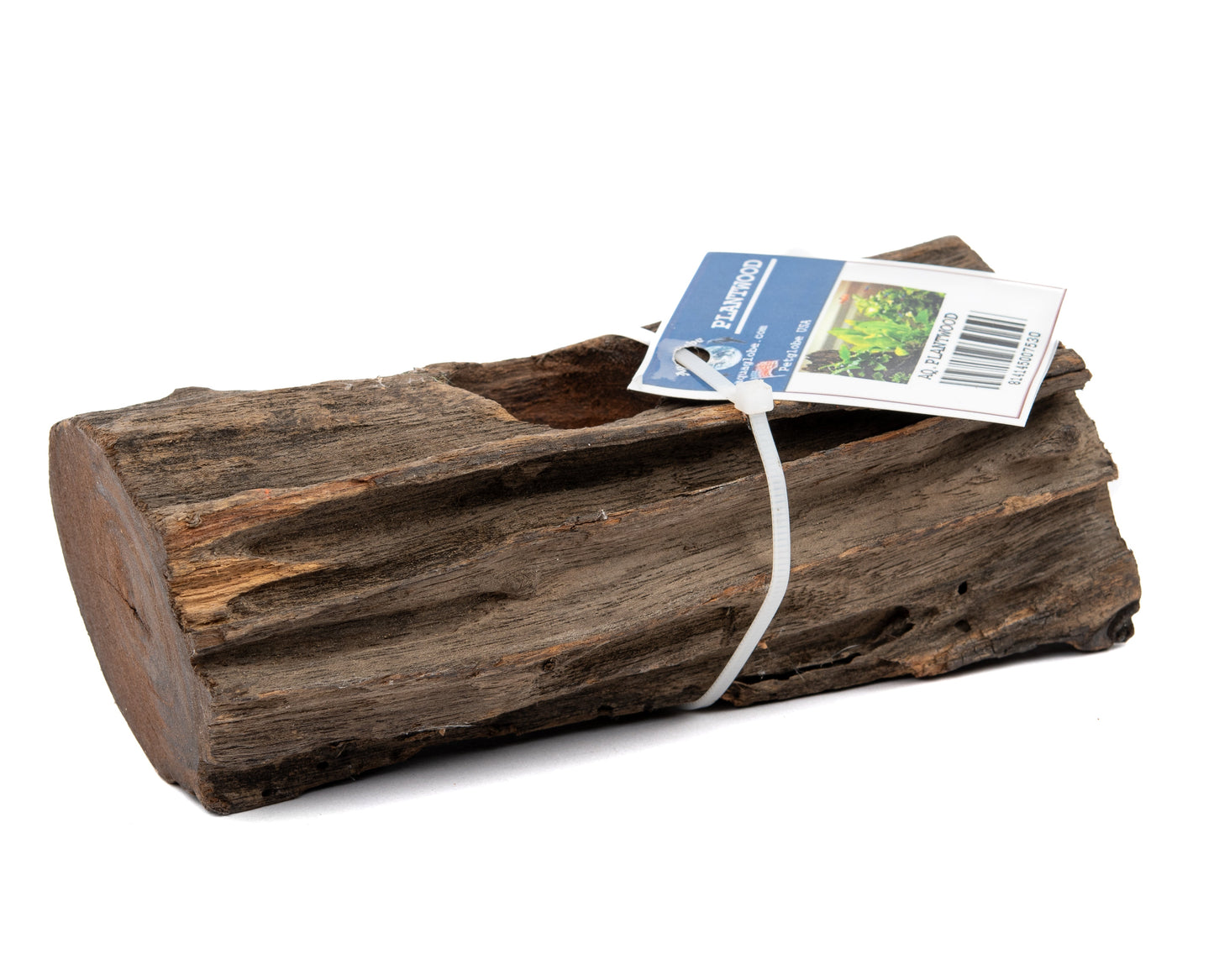 Aquaglobe Plantwood Plant Holder (Approx. 6")