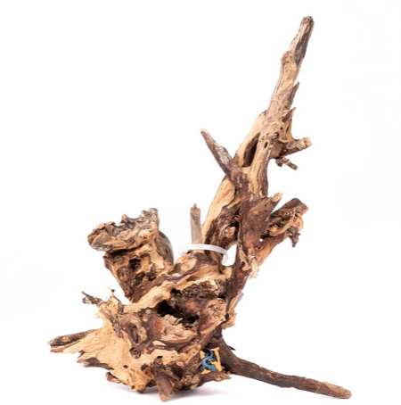 Aquaglobe Cyrus Wood