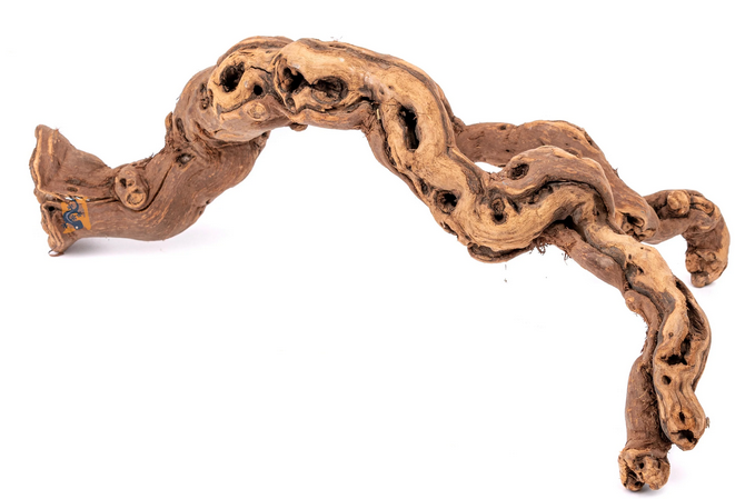 Aquaglobe Grapevine Wood