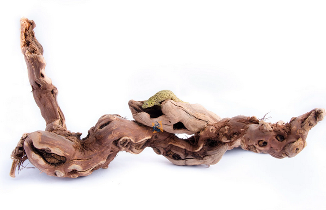 Aquaglobe Grapevine Wood