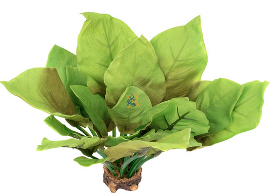 Aquaglobe Silk Queen 6"