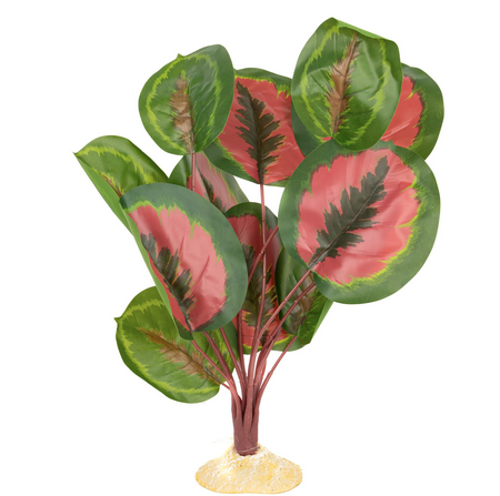 Aquaglobe Silk Red Calathea W/ Red Stem 20"