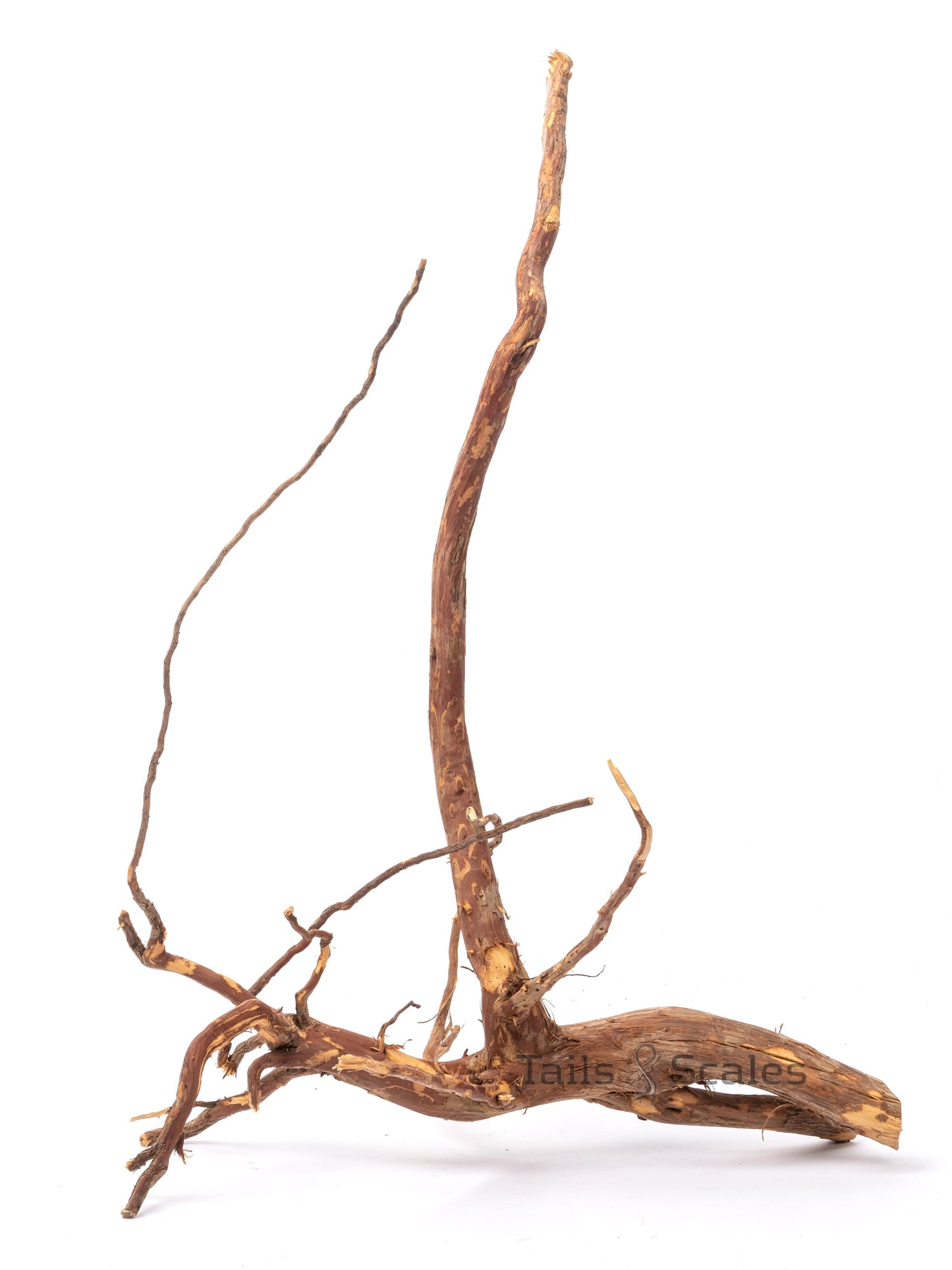 Aquaglobe Kakado Wood (Clearance- Final Sale)