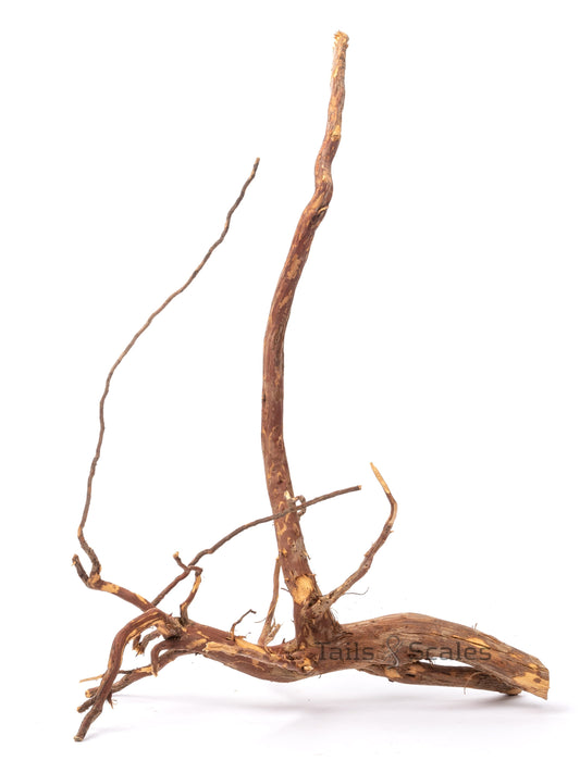 Aquaglobe Kakado Wood (Clearance- Final Sale)