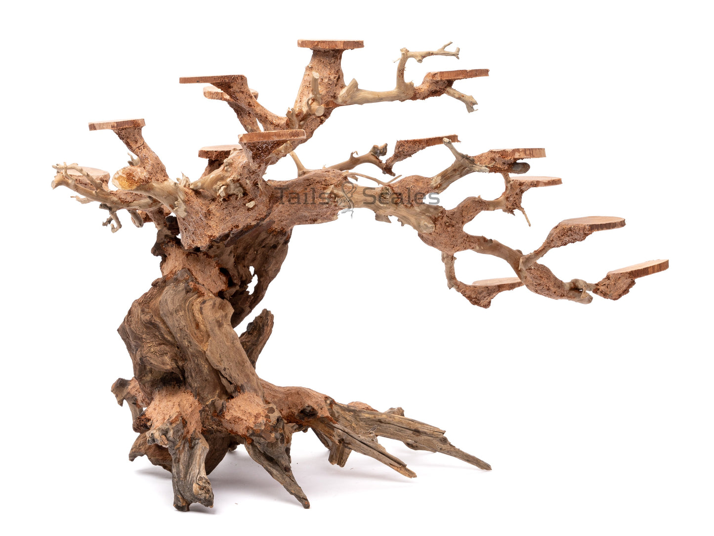 Aquaglobe Rainforest Wood