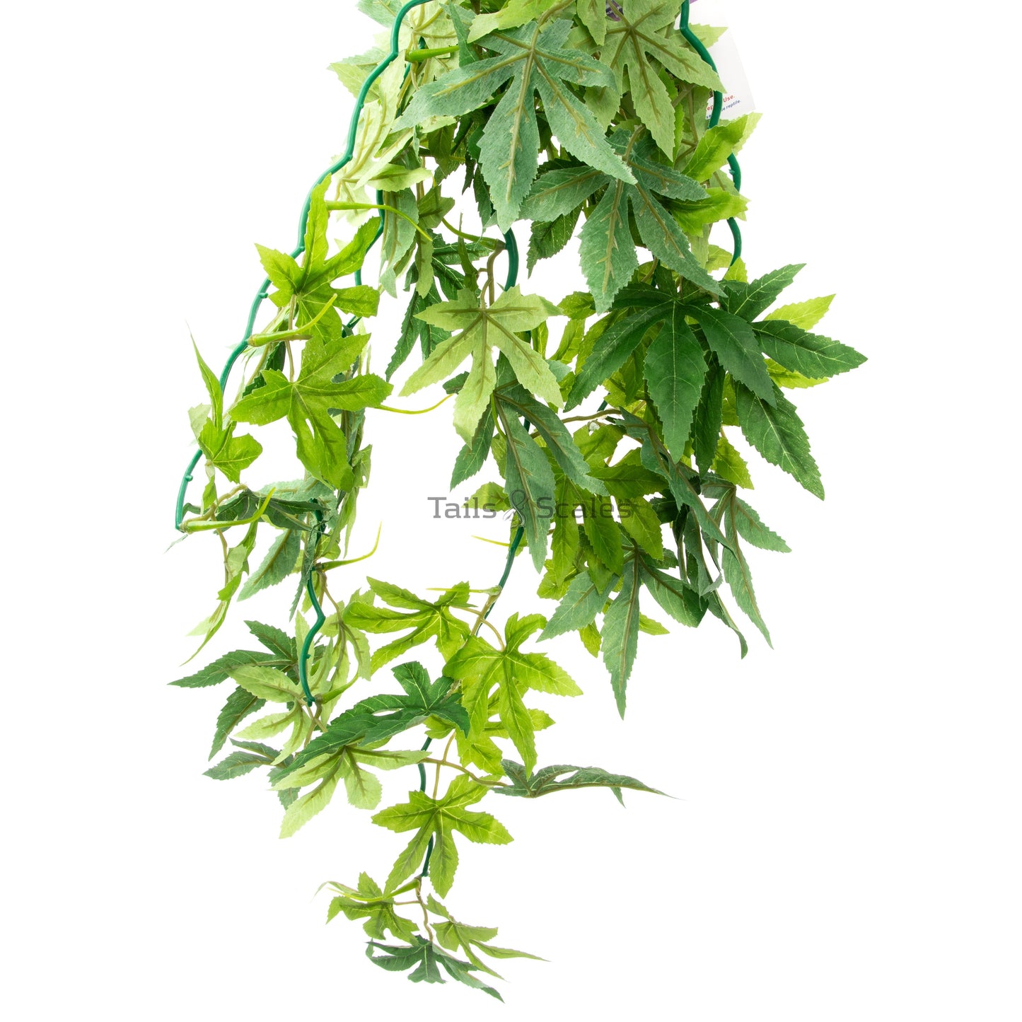 Aquaglobe Silk Green Maple