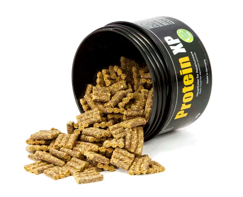 GlasGarten Protein XP (NEW!)