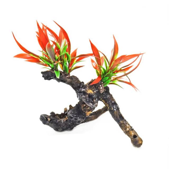 AQUATOP Fire Red Plant on Resin Driftwood